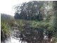 LOT 54 Sandy Place, Long Beach NSW 2536