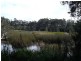 LOT 54 Sandy Place, Long Beach NSW 2536