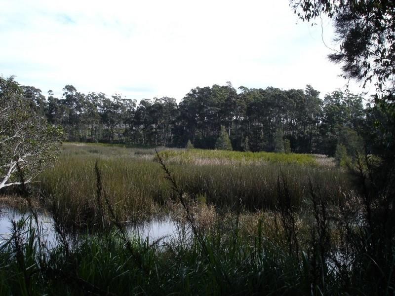 LOT 54 Sandy Place, Long Beach NSW 2536