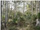 LOT 54 Sandy Place, Long Beach NSW 2536
