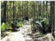 LOT 54 Sandy Place, Long Beach NSW 2536