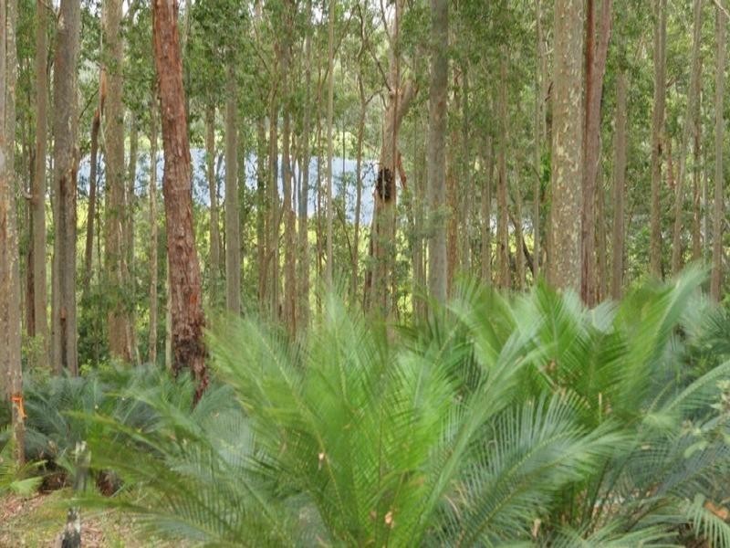 LOT 54 Sandy Place, Long Beach NSW 2536
