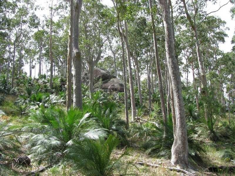 Lot 29 Old Bolaro Mountain Road, Nelligen NSW 2536