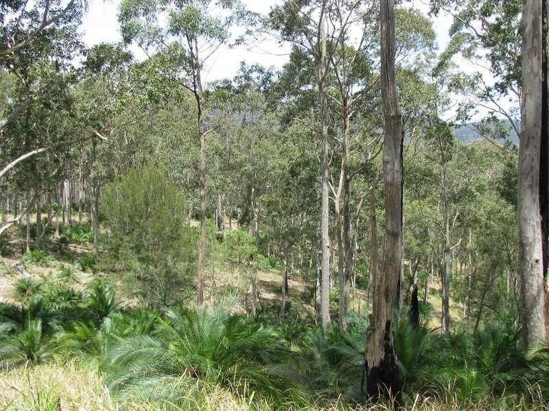 Lot 29 Old Bolaro Mountain Road, Nelligen NSW 2536