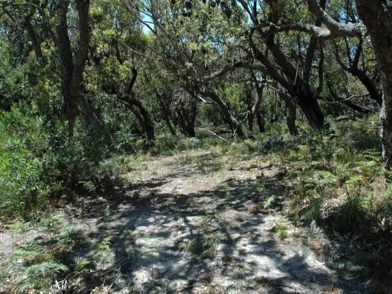 101 Burri Point Road, Guerilla Bay NSW 2536