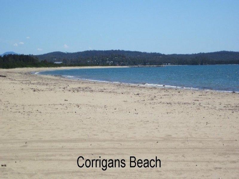 12 Oakwood Way, Catalina NSW 2536