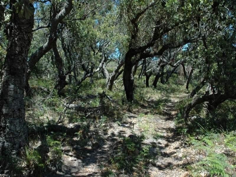 97 Burri Point Road, Guerilla Bay NSW 2536