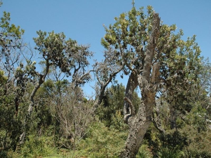 97 Burri Point Road, Guerilla Bay NSW 2536