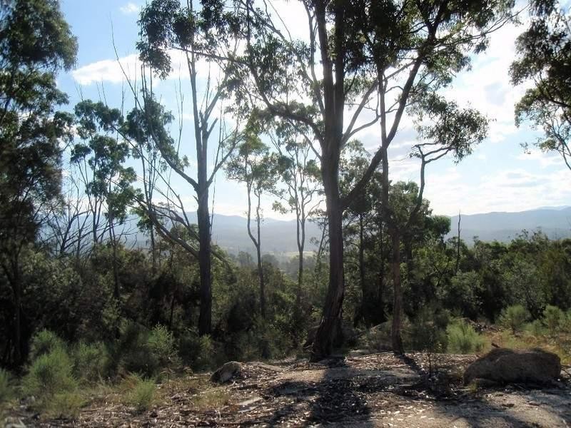 Lot 3 Moruya Reservoir Road, Moruya NSW 2537