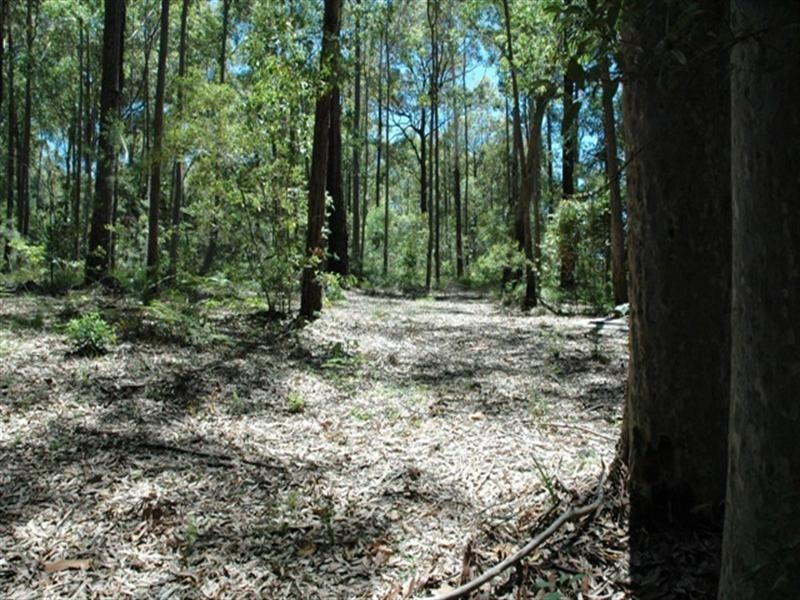 48 Denise Drive, Lilli Pilli NSW 2536