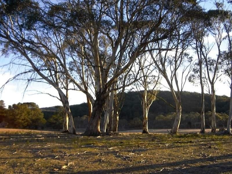 4608 Kings Highway, Braidwood NSW 2622
