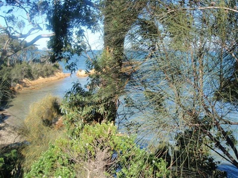 151 Northcove Road, Maloneys Beach NSW 2536