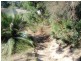 151 Northcove Road, Maloneys Beach NSW 2536