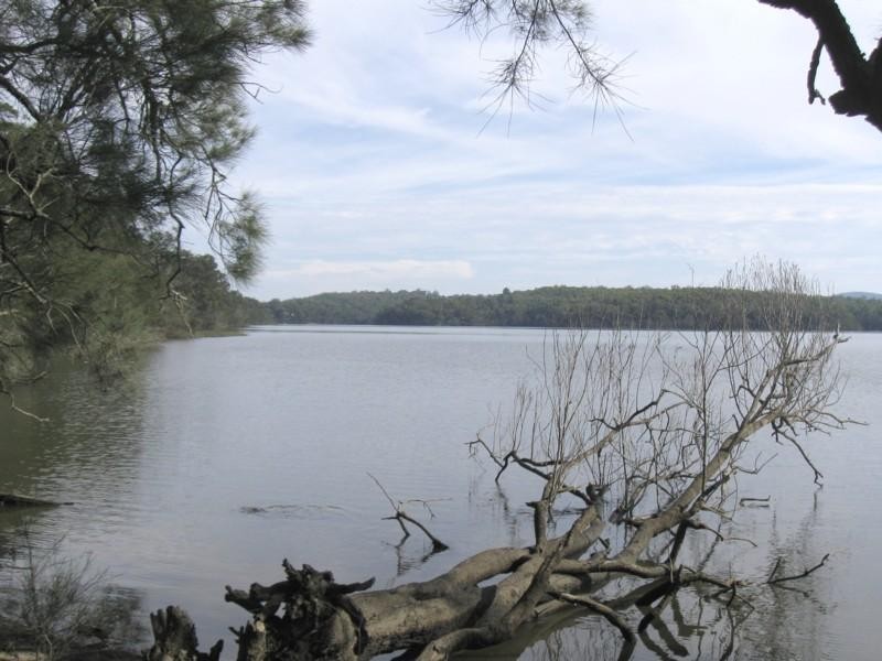 77 Borang Lake Road, Bodalla NSW 2545