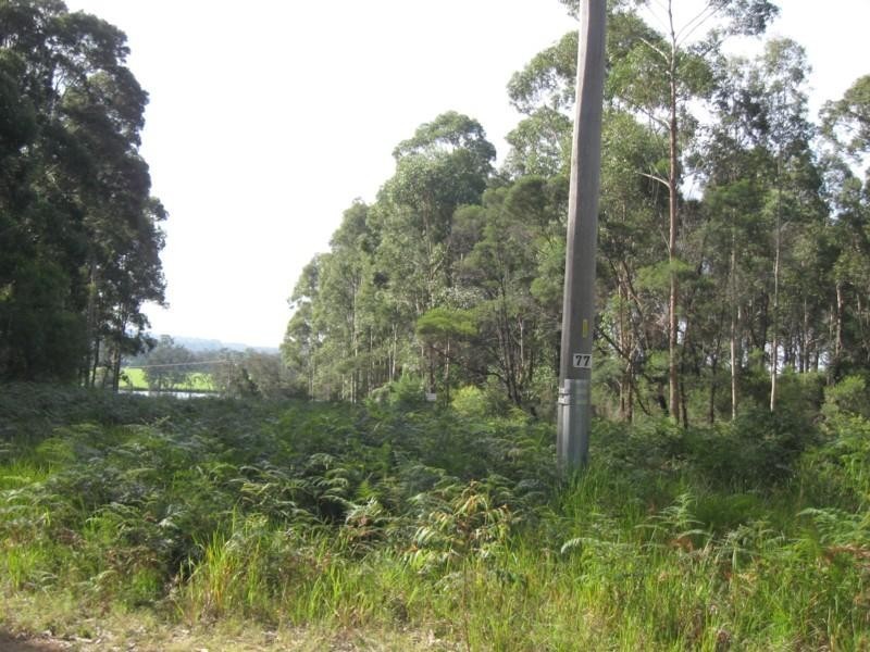 77 Borang Lake Road, Bodalla NSW 2545