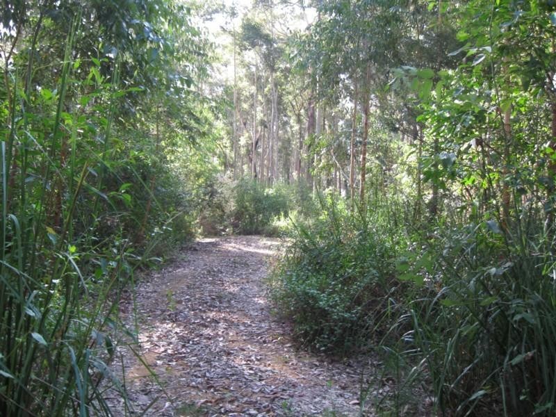 77 Borang Lake Road, Bodalla NSW 2545