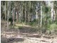 77 Borang Lake Road, Bodalla NSW 2545