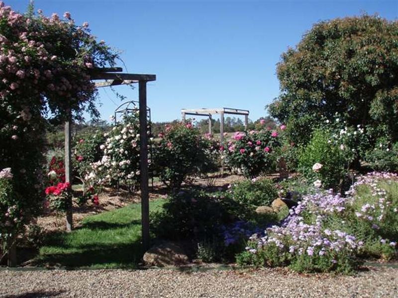 123 Dummett Jessop Drive, Verona NSW 2550