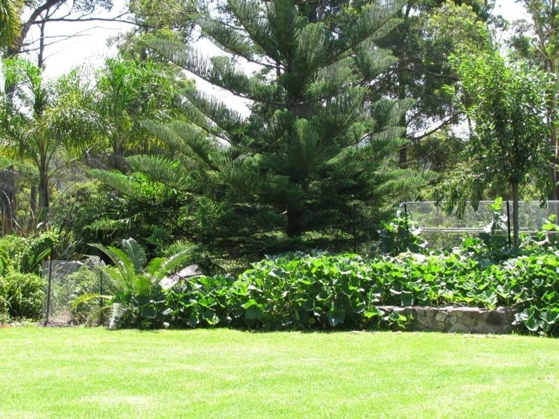 4278 Princes Highway, Moruya NSW 2537