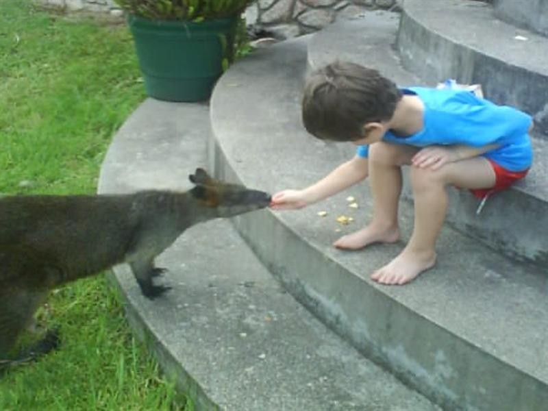 4278 Princes Highway, Moruya NSW 2537