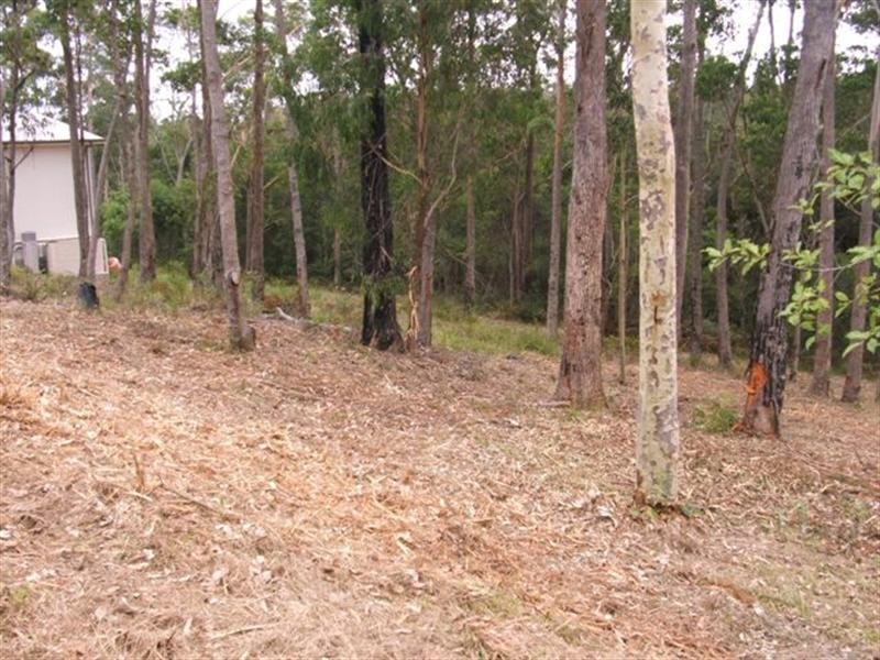 29 Oakwood Way, Catalina NSW 2536