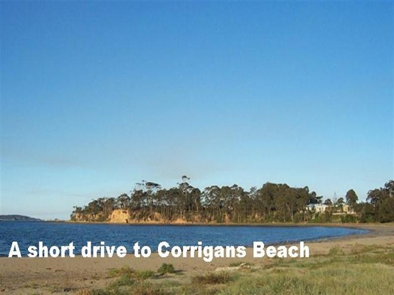 29 Oakwood Way, Catalina NSW 2536