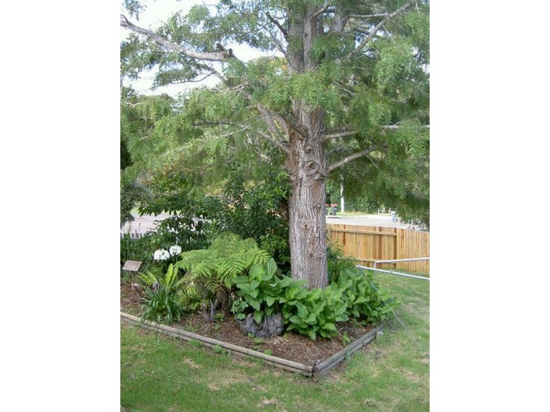 28 High Street, Batemans Bay NSW 2536