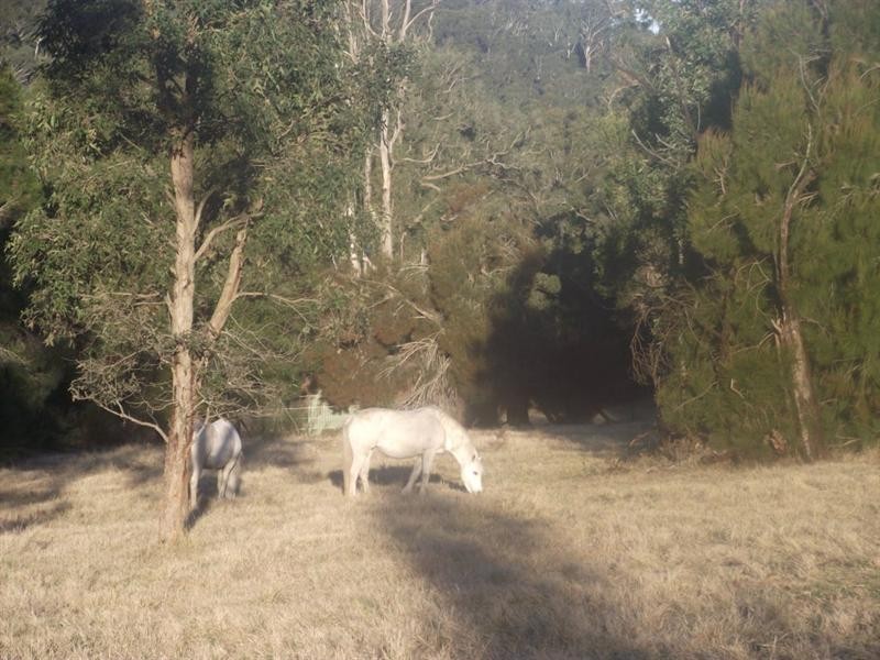 588 Larry’s Mountain Road, Moruya NSW 2537