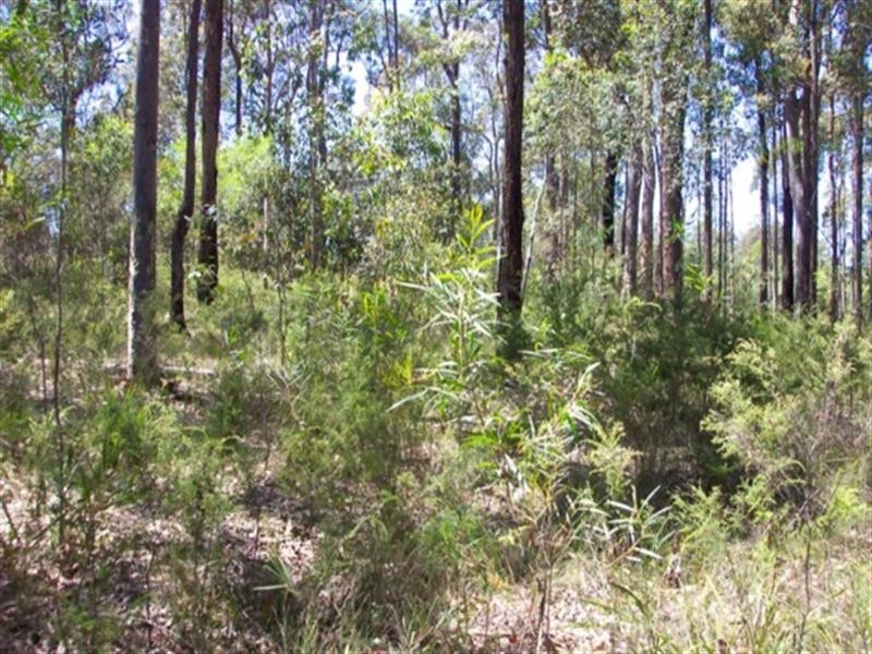 Lot 1 Misons Road, Bimbimbie NSW 2536