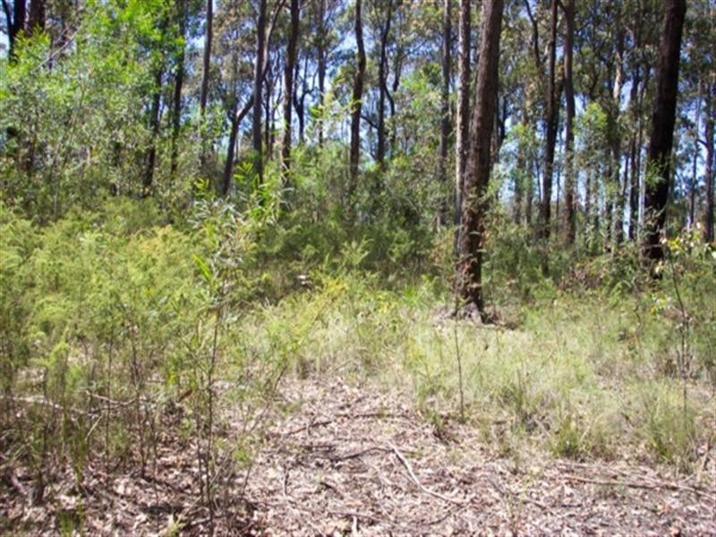 Lot 1 Misons Road, Bimbimbie NSW 2536