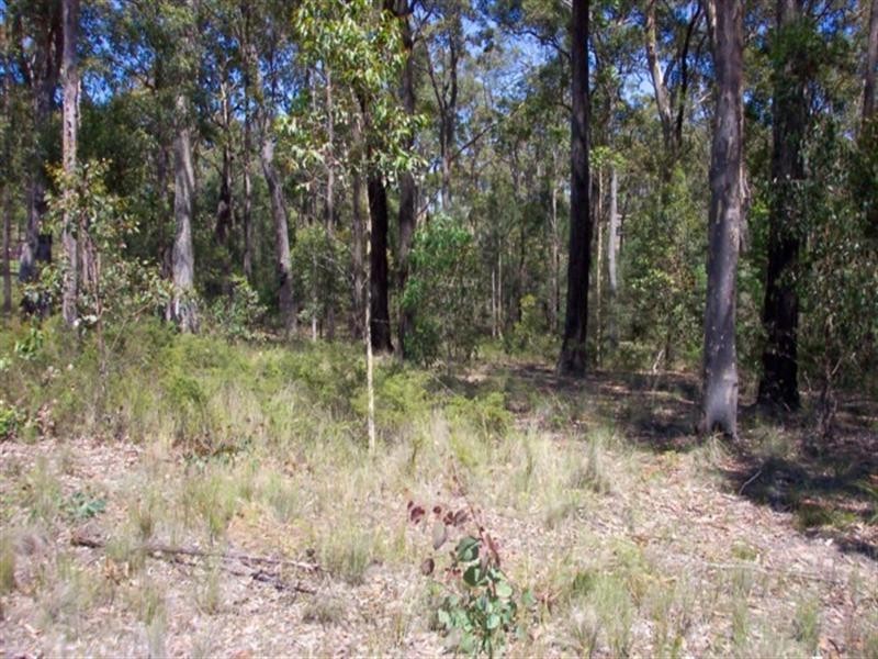 Lot 1 Misons Road, Bimbimbie NSW 2536