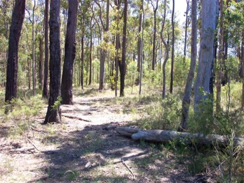 Lot 1 Misons Road, Bimbimbie NSW 2536