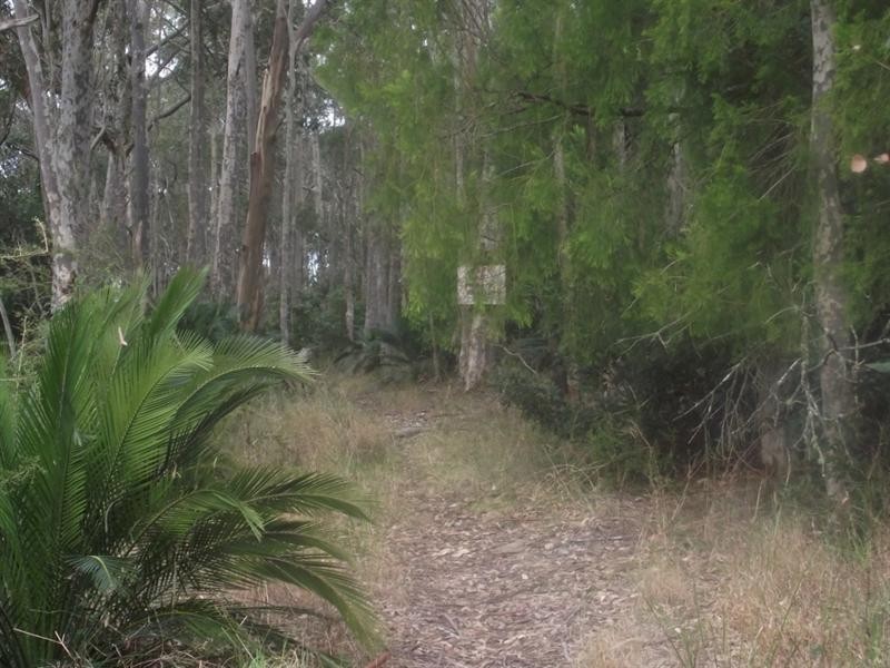 12 The Anchorage, Moruya Heads NSW 2537