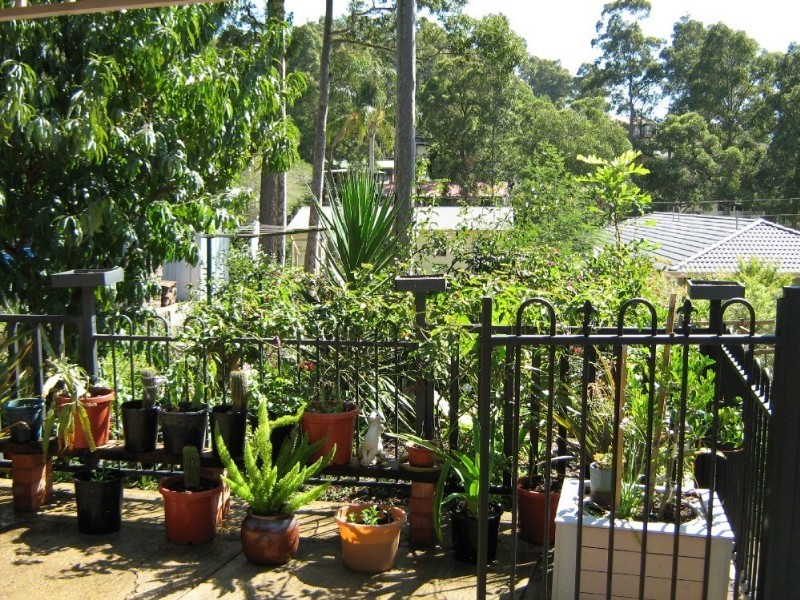 82 Palana Street, Surfside NSW 2536