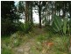 17a Burrawang Crescent, Sunshine Bay NSW 2536