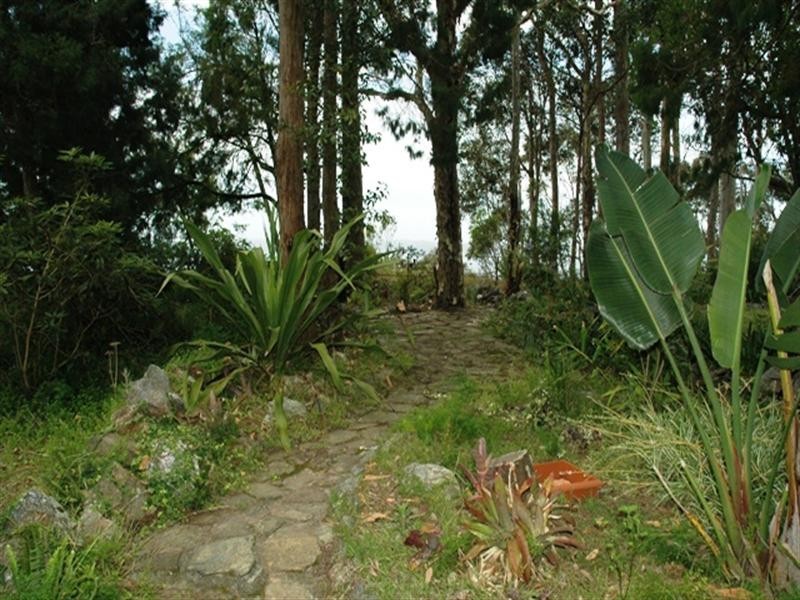 17a Burrawang Crescent, Sunshine Bay NSW 2536