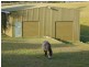 80 Yarragee Road, Moruya NSW 2537