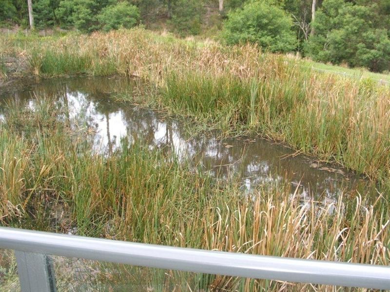 20 Henry Place, Long Beach NSW 2536