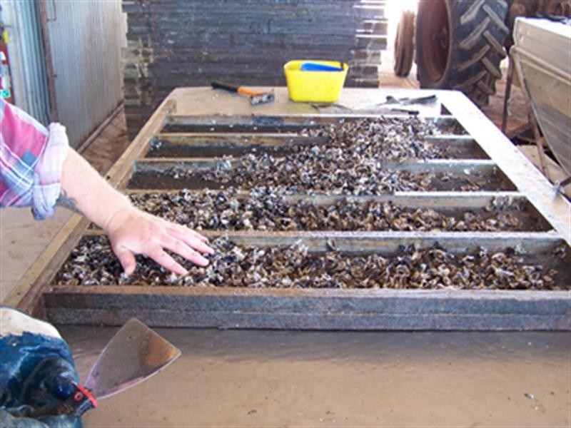 Shed 139 Lattas Point Rd, ‘Oyster Lease’, Batemans Bay NSW 2536