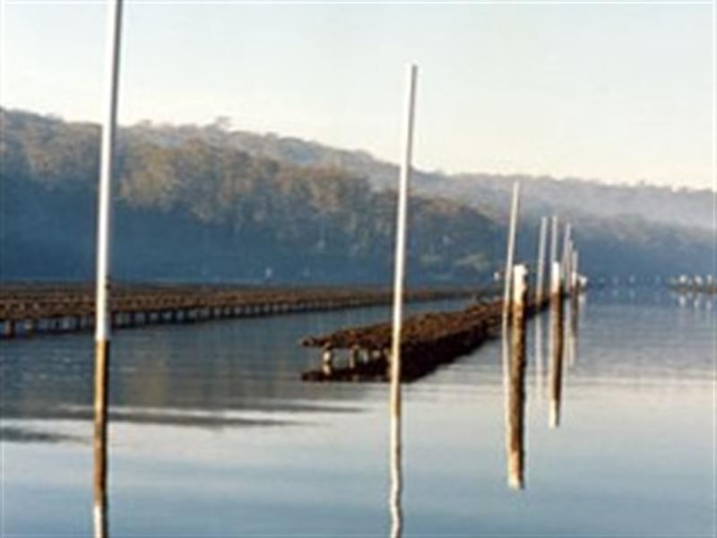 Shed 139 Lattas Point Rd, ‘Oyster Lease’, Batemans Bay NSW 2536