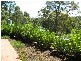 RMB 11175 Princes Highway (Service Rd), Batemans Bay NSW 2536