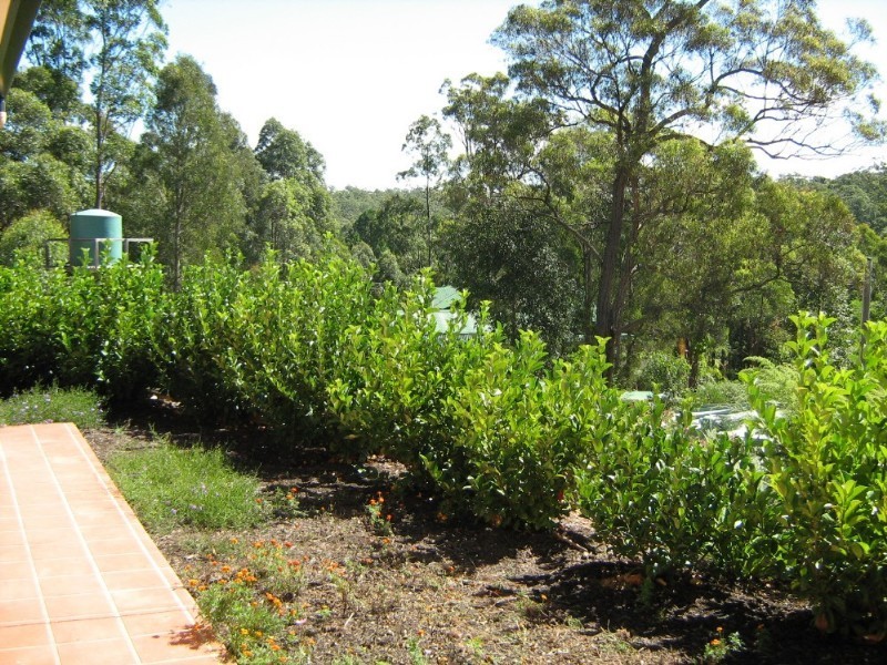 RMB 11175 Princes Highway (Service Rd), Batemans Bay NSW 2536