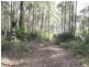 77 Borang Lake Road, Bodalla NSW 2545