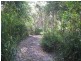 77 Borang Lake Road, Bodalla NSW 2545