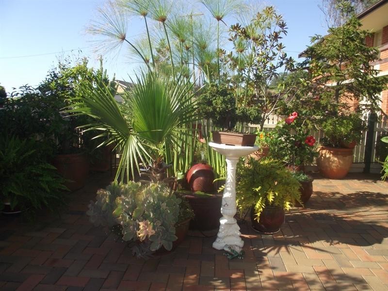 9 Dulling Street, Dalmeny NSW 2546