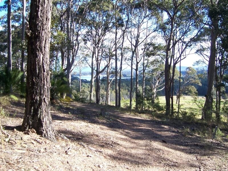 21 Roseby Drive, Rosedale NSW 2536