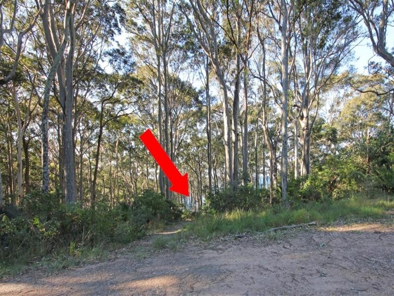 13 Dale Place, Rosedale NSW 2536