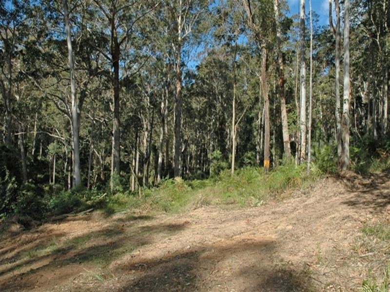 610 Windywoppa Road, Benandarah NSW 2536