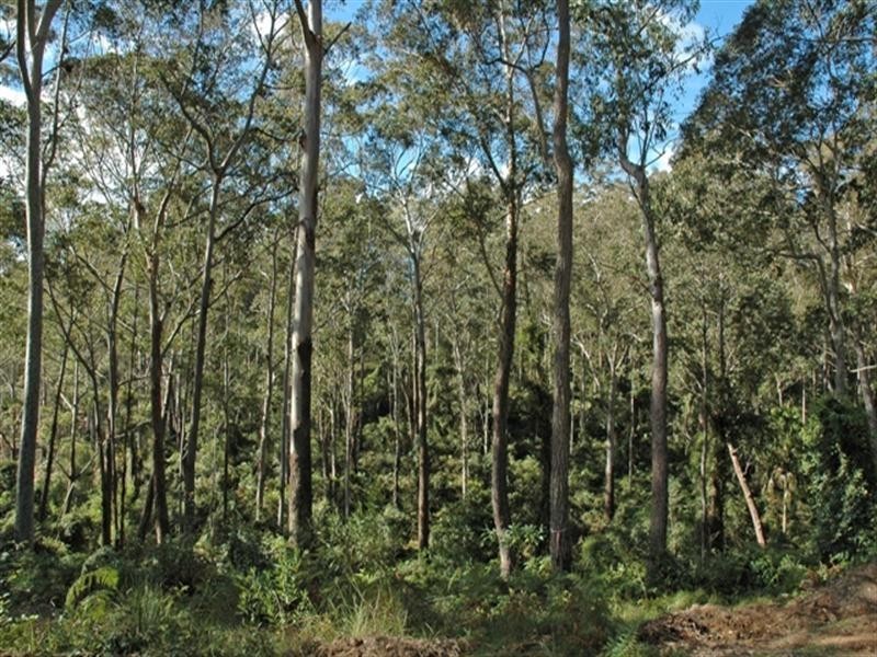 610 Windywoppa Road, Benandarah NSW 2536