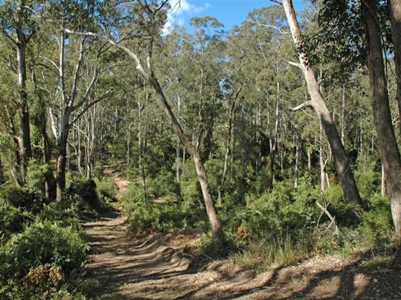 610 Windywoppa Road, Benandarah NSW 2536